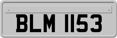 BLM1153
