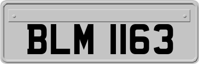 BLM1163