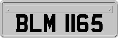 BLM1165