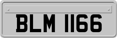 BLM1166