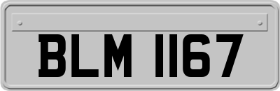 BLM1167
