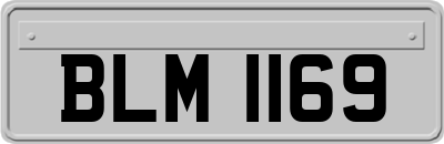 BLM1169