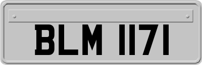 BLM1171