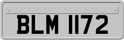 BLM1172