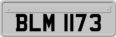 BLM1173