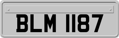 BLM1187