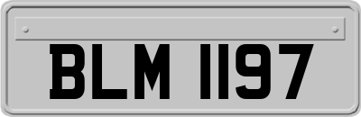 BLM1197