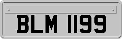 BLM1199