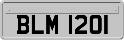 BLM1201