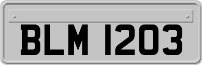 BLM1203