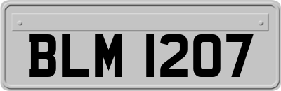 BLM1207