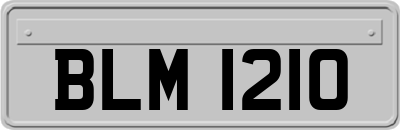 BLM1210