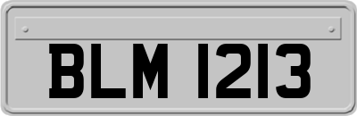 BLM1213
