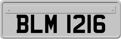 BLM1216