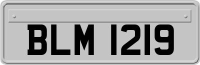 BLM1219