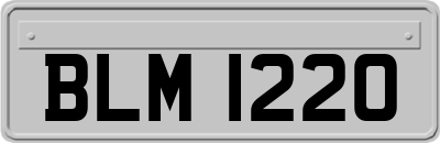 BLM1220