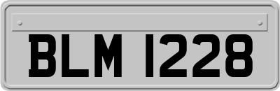 BLM1228