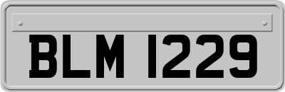 BLM1229