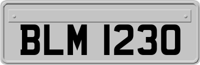 BLM1230