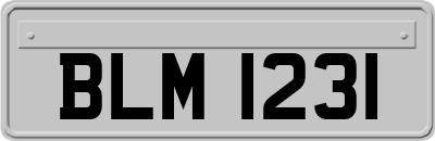 BLM1231