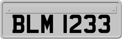 BLM1233
