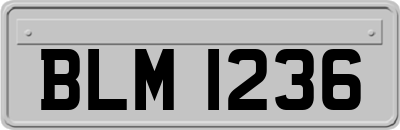 BLM1236