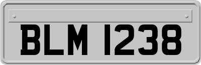 BLM1238