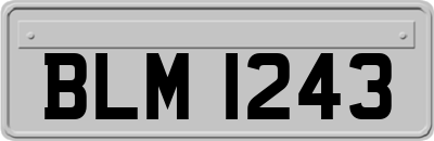 BLM1243