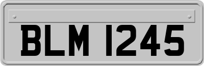 BLM1245
