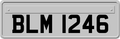 BLM1246