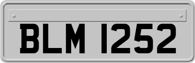 BLM1252