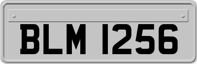 BLM1256