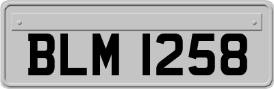 BLM1258