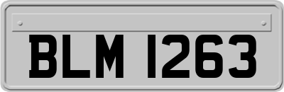 BLM1263