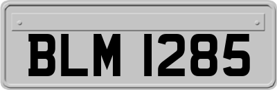 BLM1285