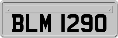 BLM1290