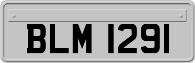 BLM1291