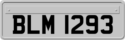 BLM1293