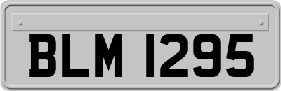 BLM1295
