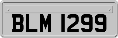 BLM1299