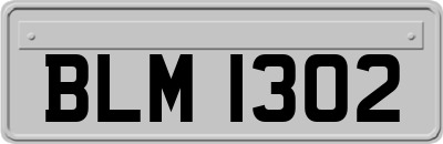 BLM1302