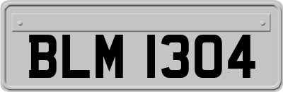 BLM1304
