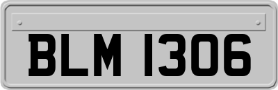 BLM1306