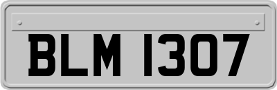 BLM1307