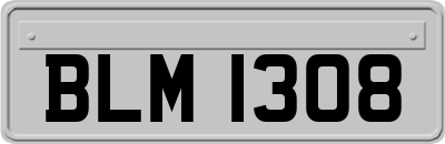 BLM1308