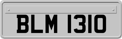 BLM1310