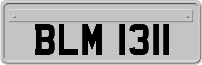BLM1311