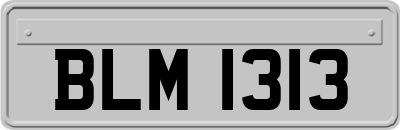 BLM1313