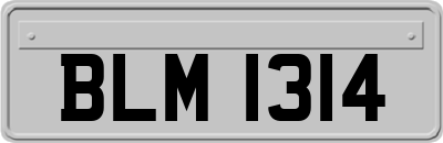BLM1314