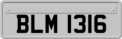BLM1316